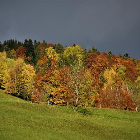 Ferienhaus Brittenberg Schwarzenberg im Bregenzerwald Eksteriør bilde