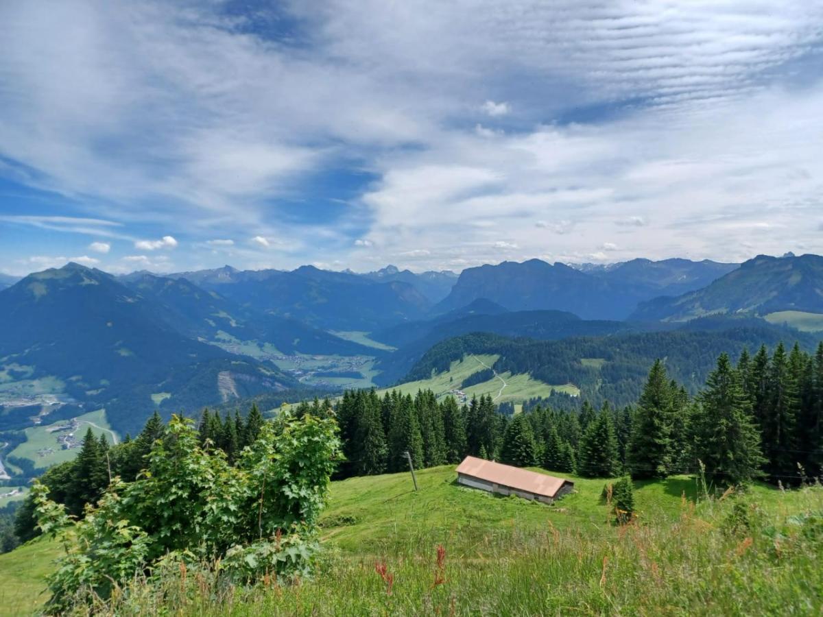 Ferienhaus Brittenberg Schwarzenberg im Bregenzerwald Eksteriør bilde